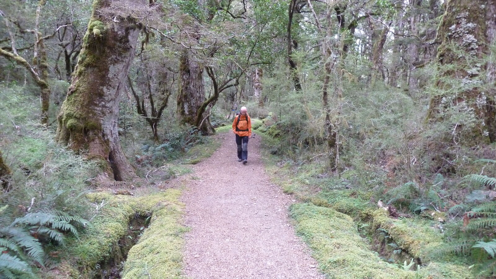 Kepler Track, Tag 3.