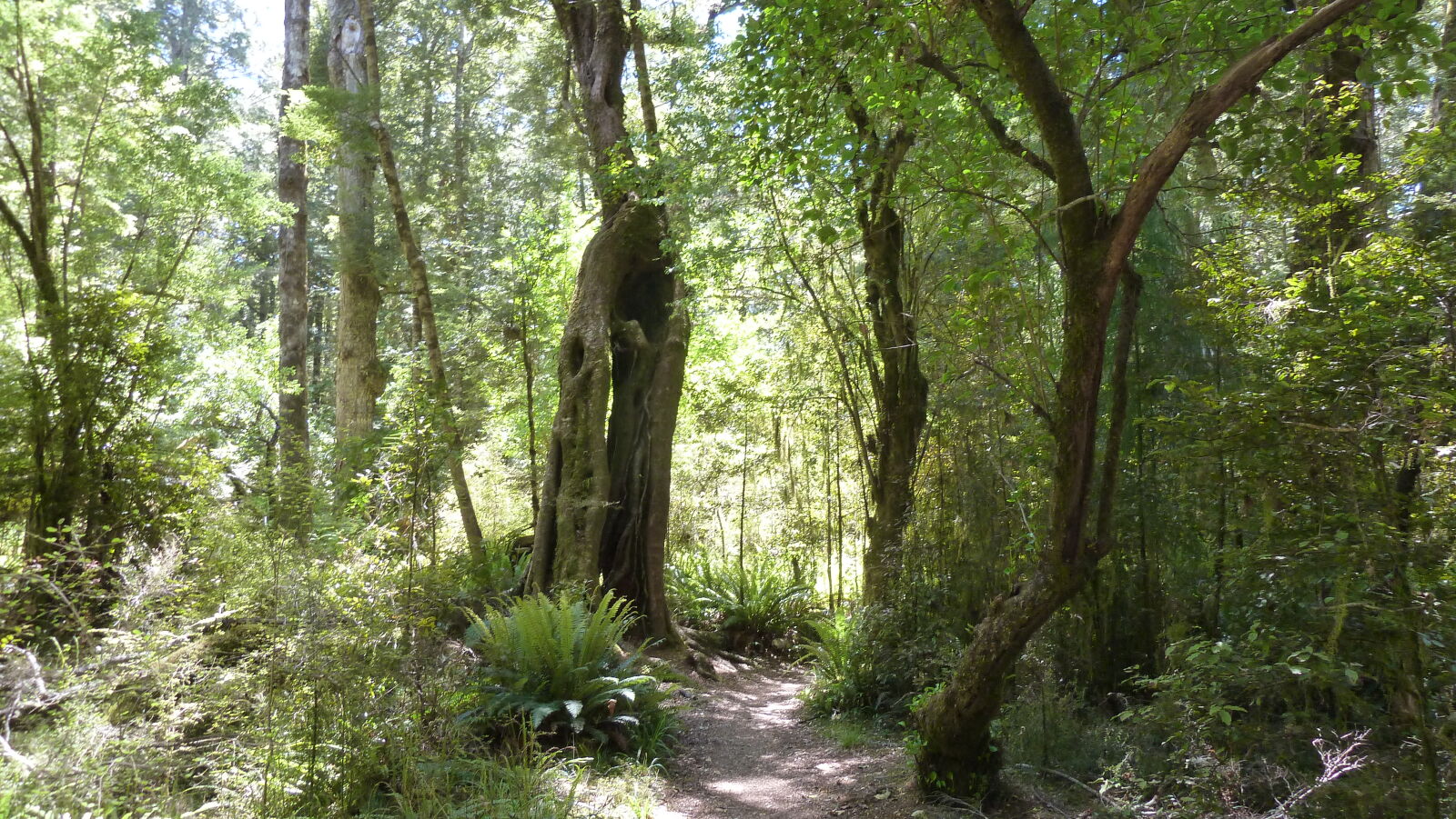 Kepler Track, Tag 3.