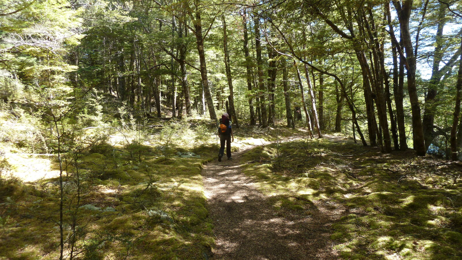 Kepler Track, Tag 4.