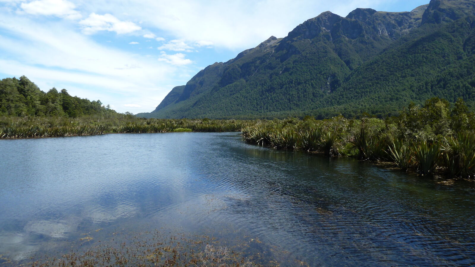 Mirror Lakes, Milford Highway.