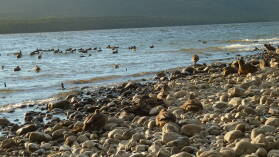 Lake Te Anau.