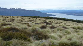 Kepler Track, Tag 1.