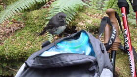 Robin, Kepler Track, Tag 3.