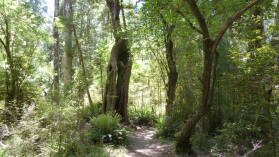 Kepler Track, Tag 3.