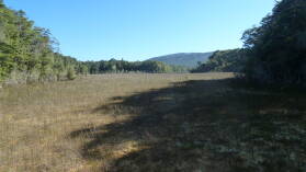 Wetlands, Kepler Track, Tag 4.