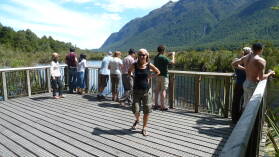 Mirror Lakes, Milford Highway.