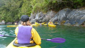 Kayaktour im Milford Sound.