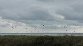 Kites. Der ganze Horizont, bedeckt mit Kites.