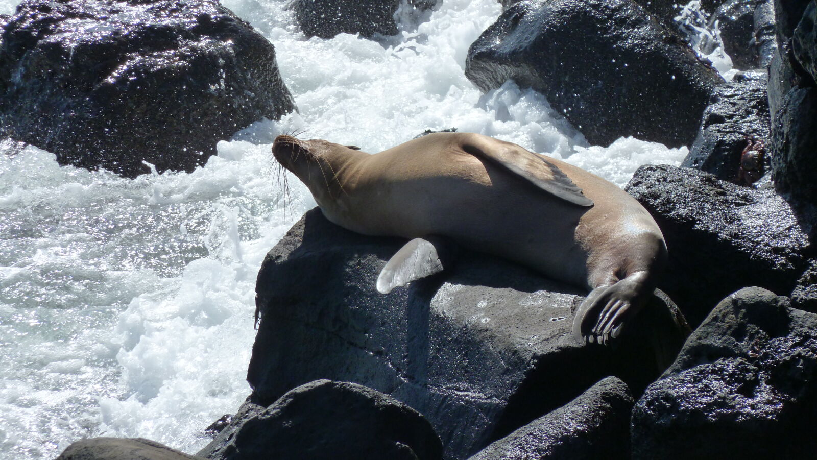 Puerto Baquerizo Moreno, San Cristobal.