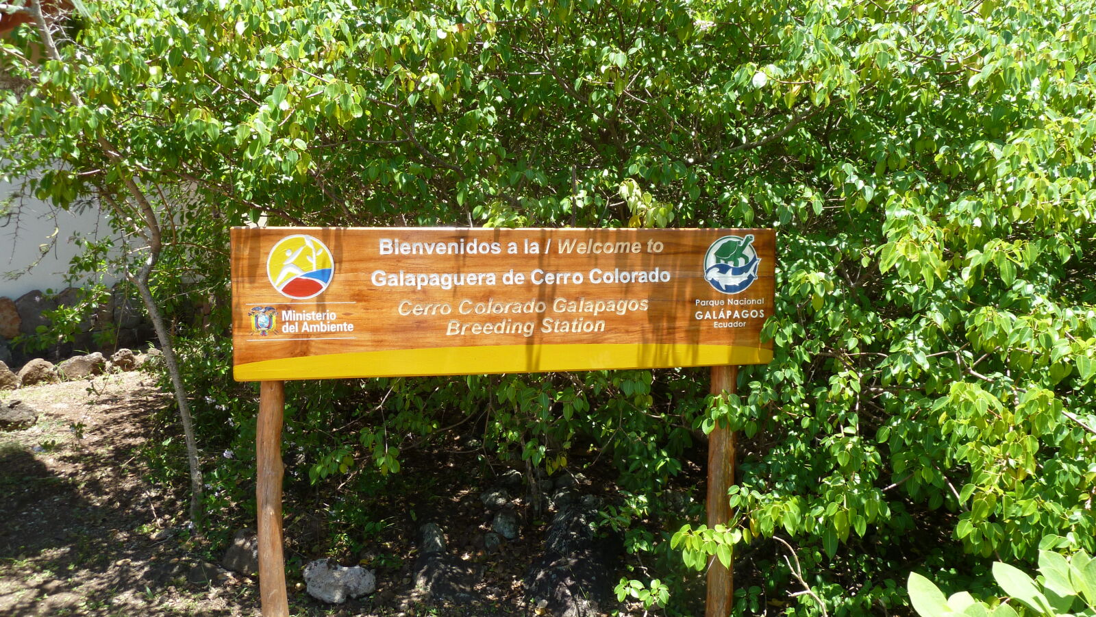 Galapaguera de Cerro Colorado, San Cristobal.