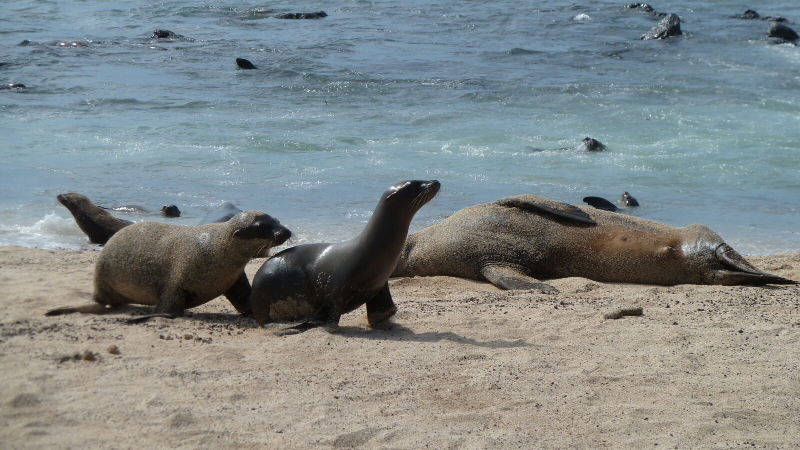 Puerto Baquerizo Moreno, San Cristobal.