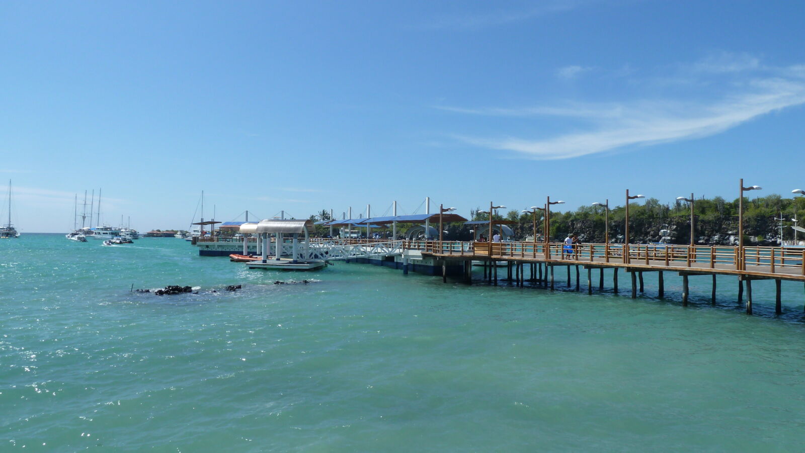 Puerto Ayora, Santa Cruz.