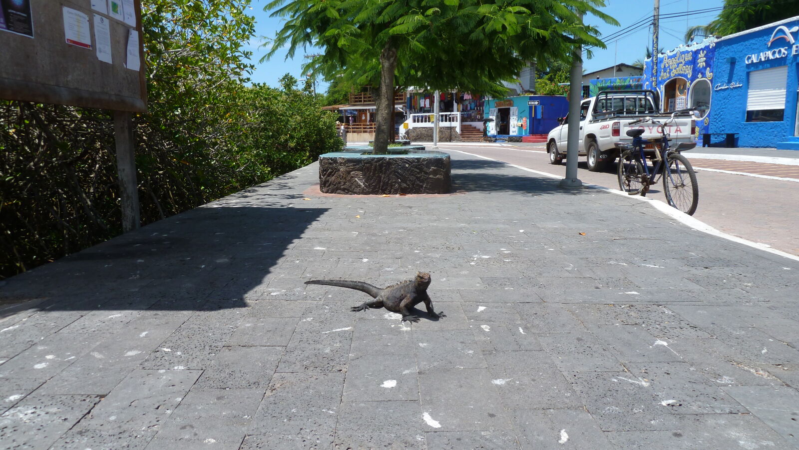 Puerto Ayora, Santa Cruz.