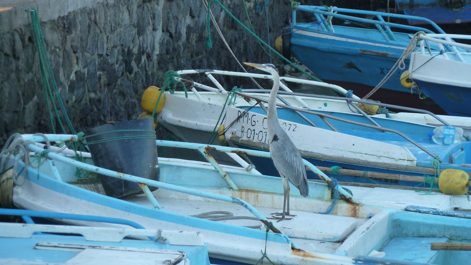 Puerto Ayora, Santa Cruz.