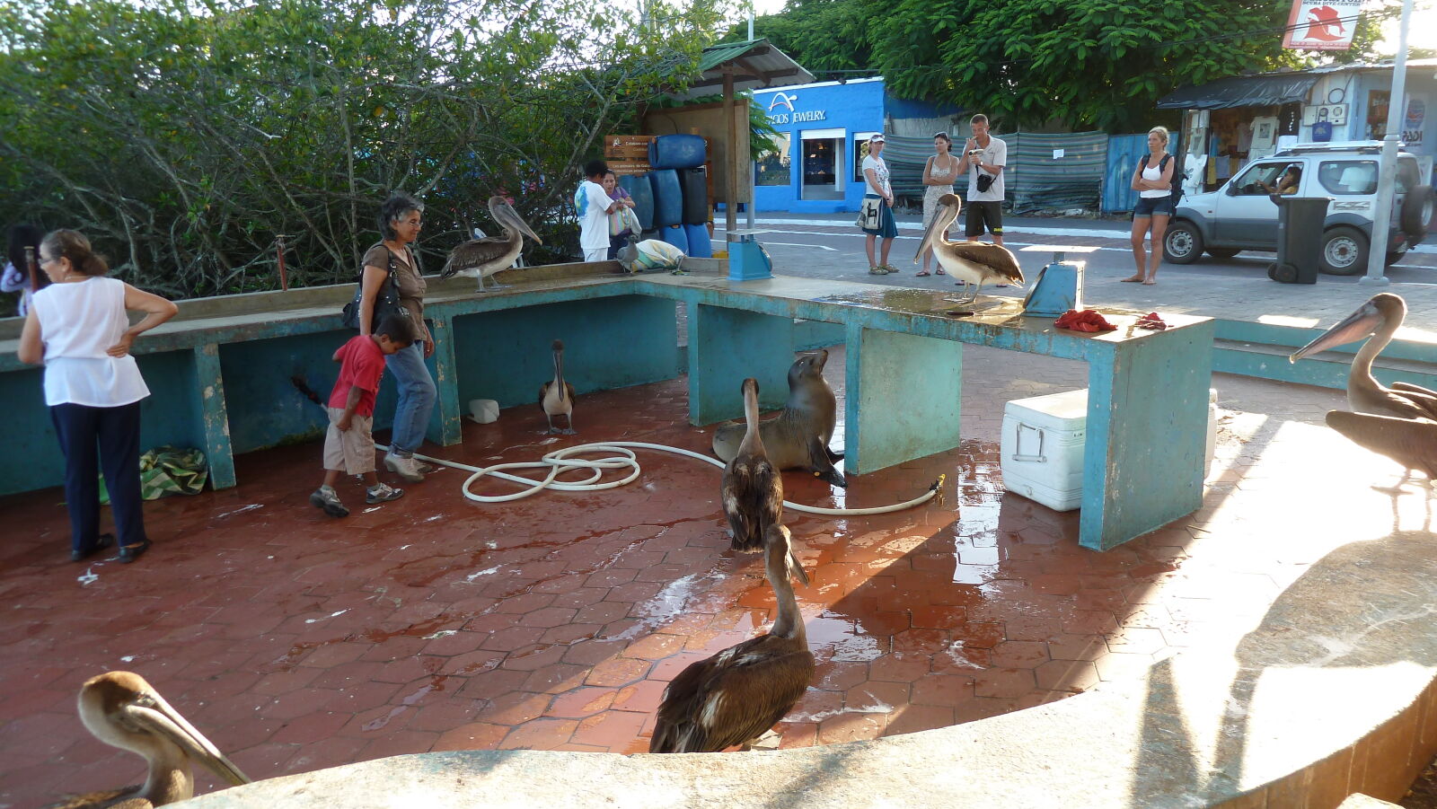 Puerto Ayora, Santa Cruz.