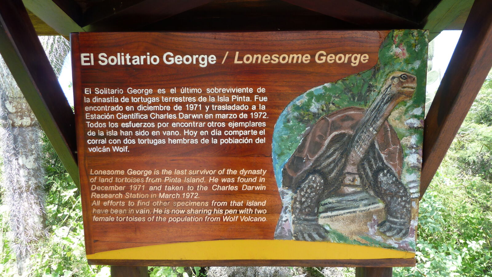 Lonesome George, Charles Darwin Research Station, Santa Cruz.