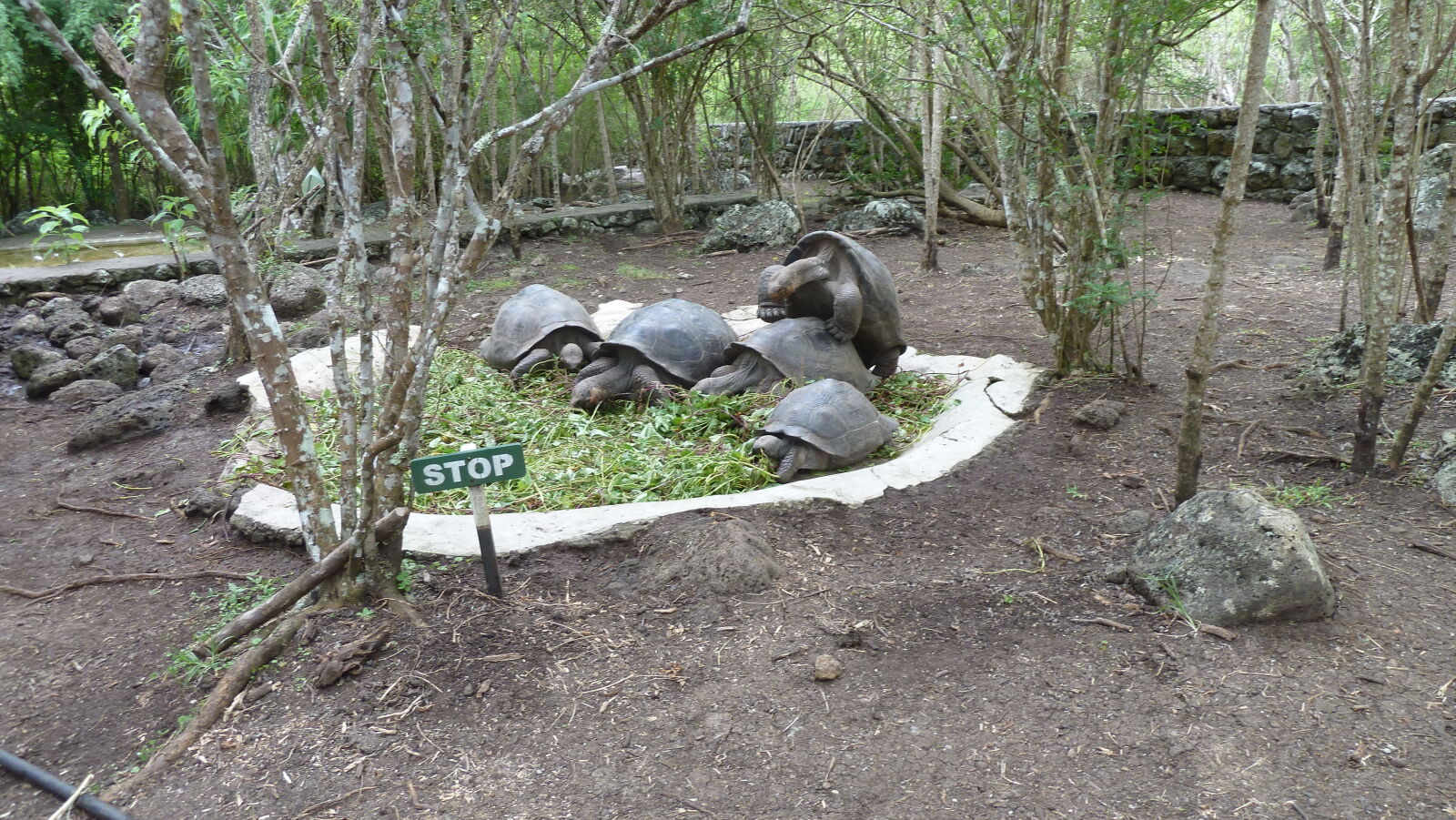Asilo de la Paz, Floreana.