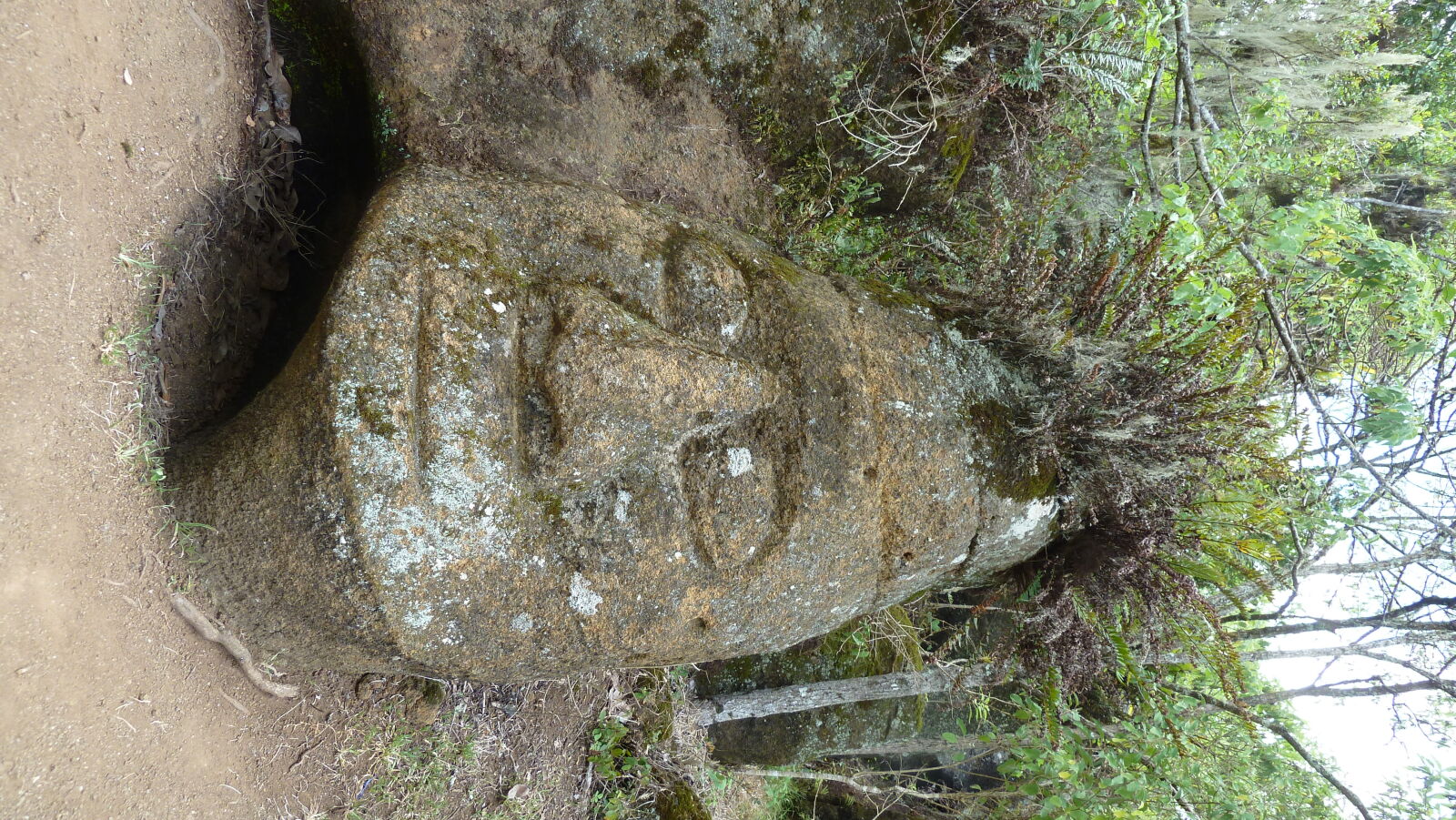 Floreana.