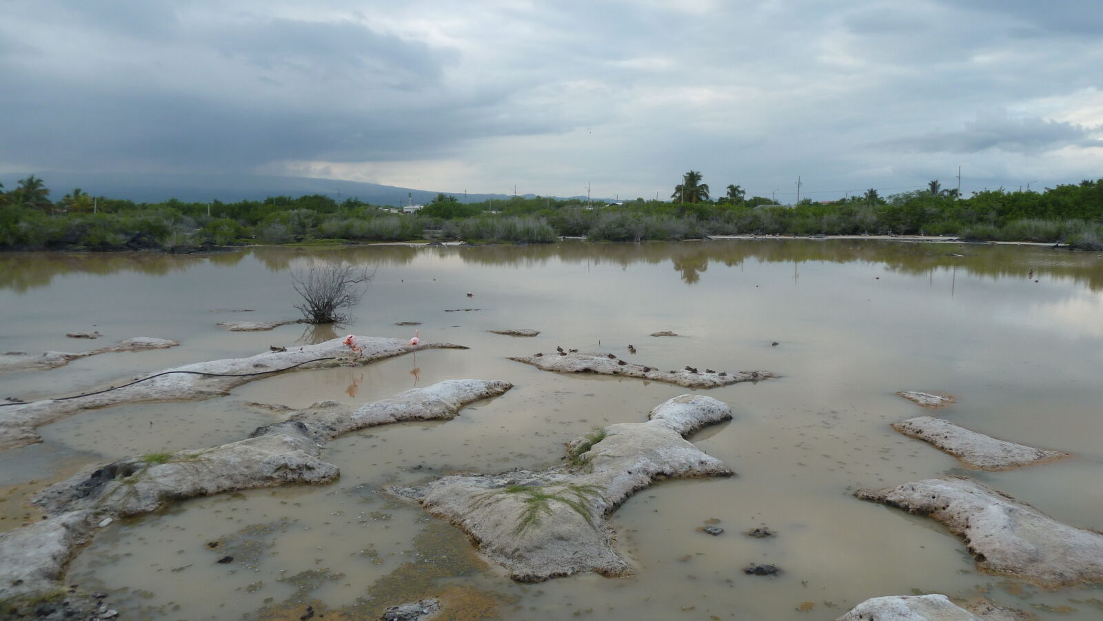Puerto Villamil, Isabela.