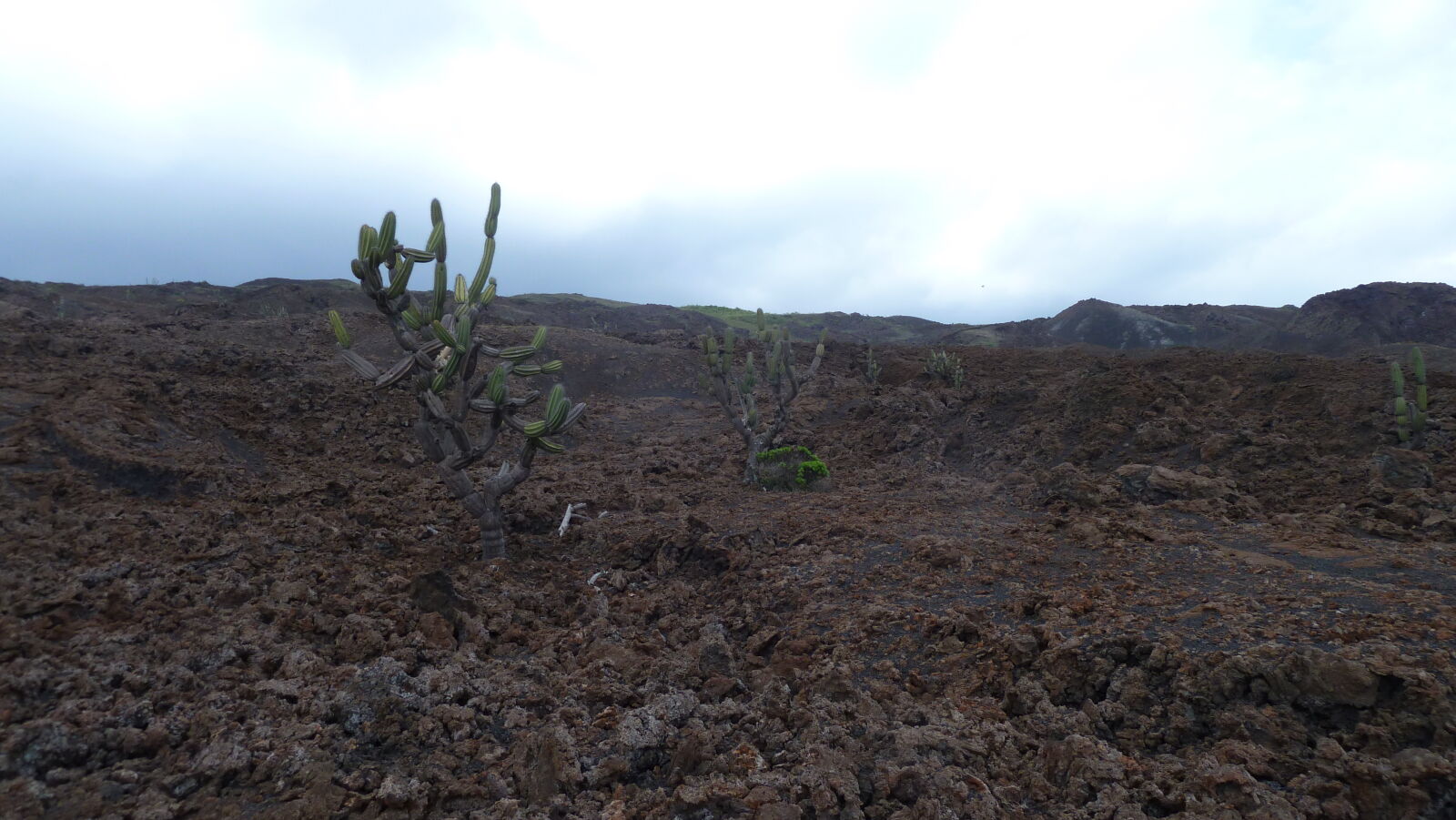 Volcán Chico, Isabela.
