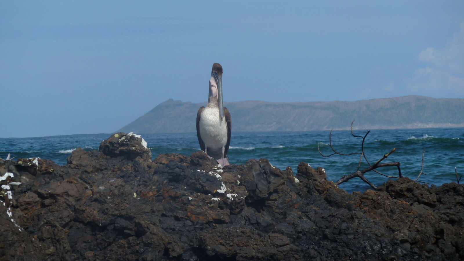 Puerto Villamil, Isabela.