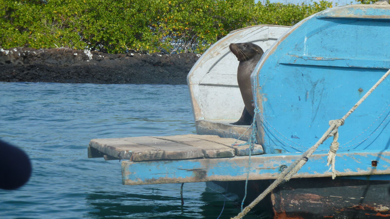 Puerto Villamil, Isabela.