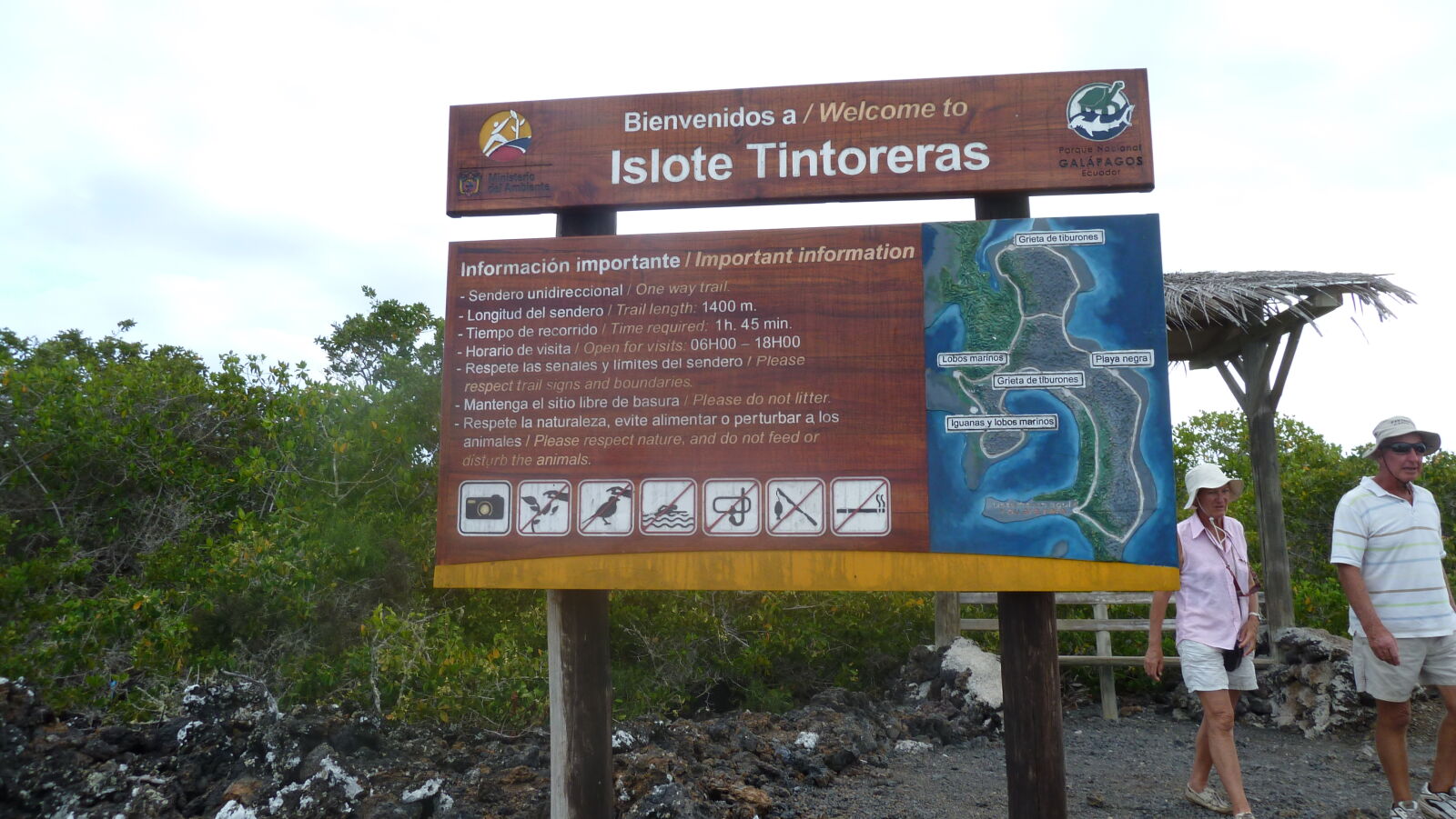 Islote Tintoreras, Isabela.