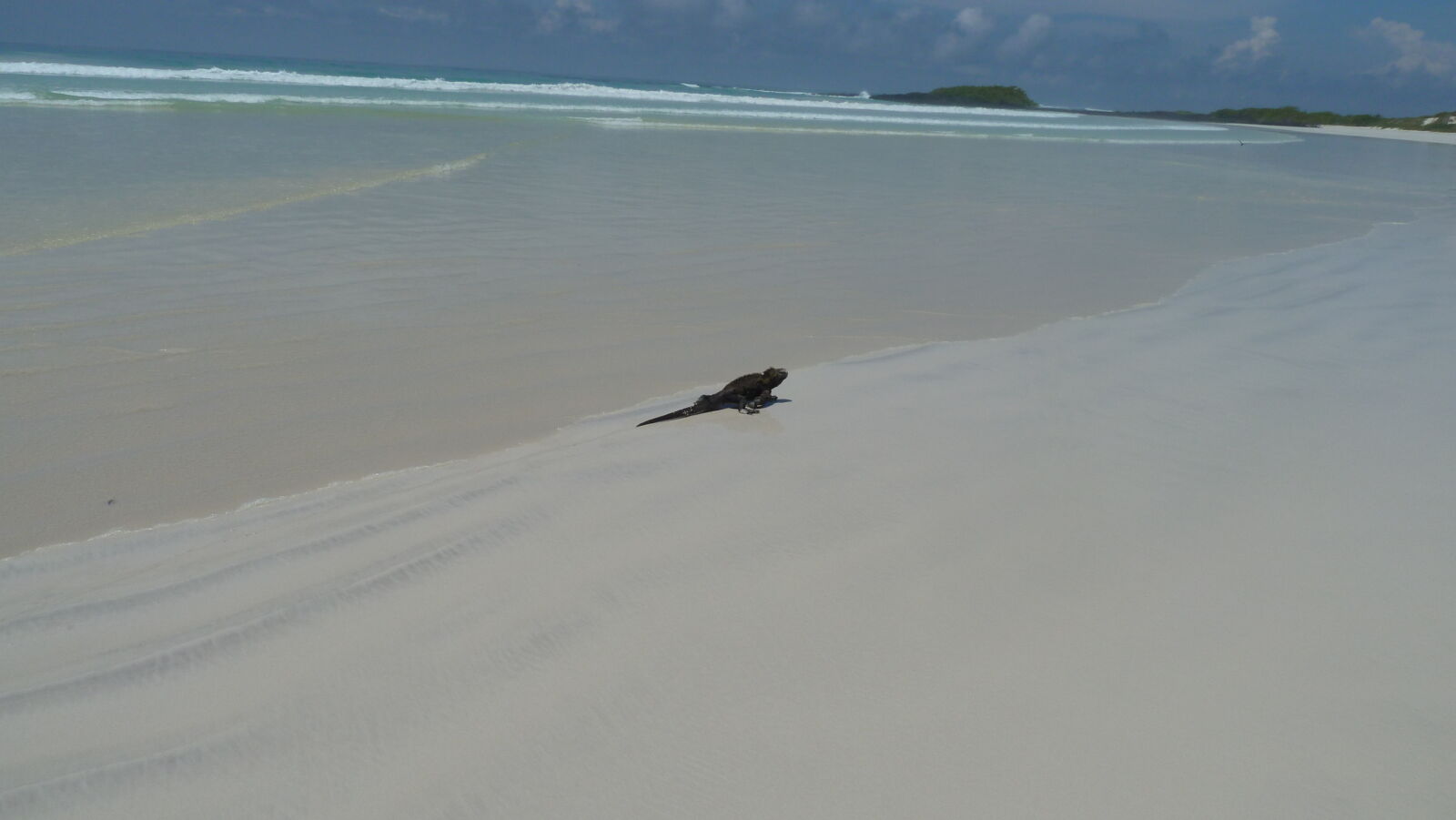 Tortuga Bay, Santa Cruz.