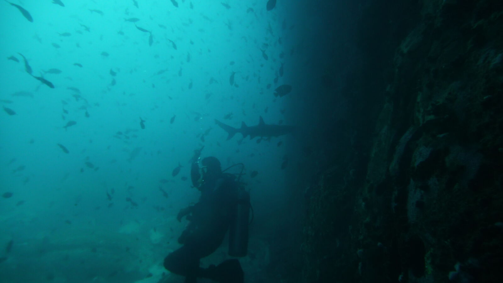 Tauchgang bei Kicker Rock, San Cristobal.