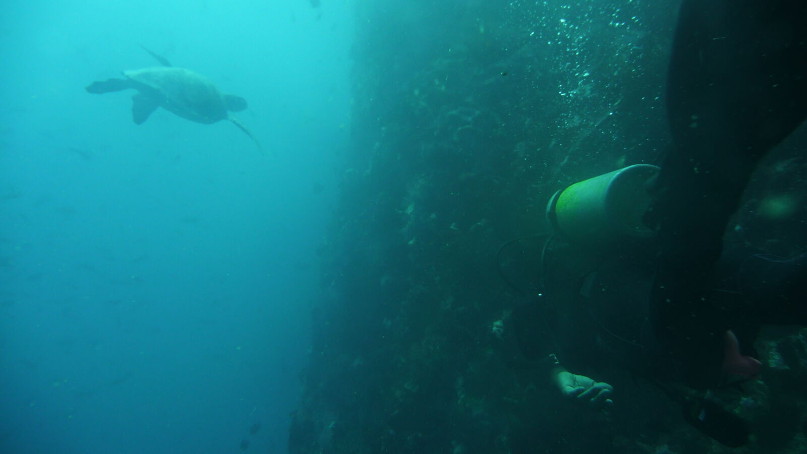 Tauchgang bei Kicker Rock, San Cristobal.
