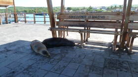 Puerto Baquerizo Moreno, San Cristobal.