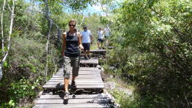 Galapaguera de Cerro Colorado, San Cristobal.