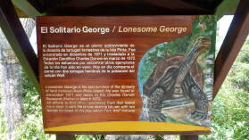 Lonesome George, Charles Darwin Research Station, Santa Cruz.