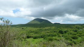 Floreana.