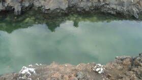 Islote Tintoreras, Isabela.