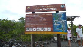 Islote Tintoreras, Isabela.