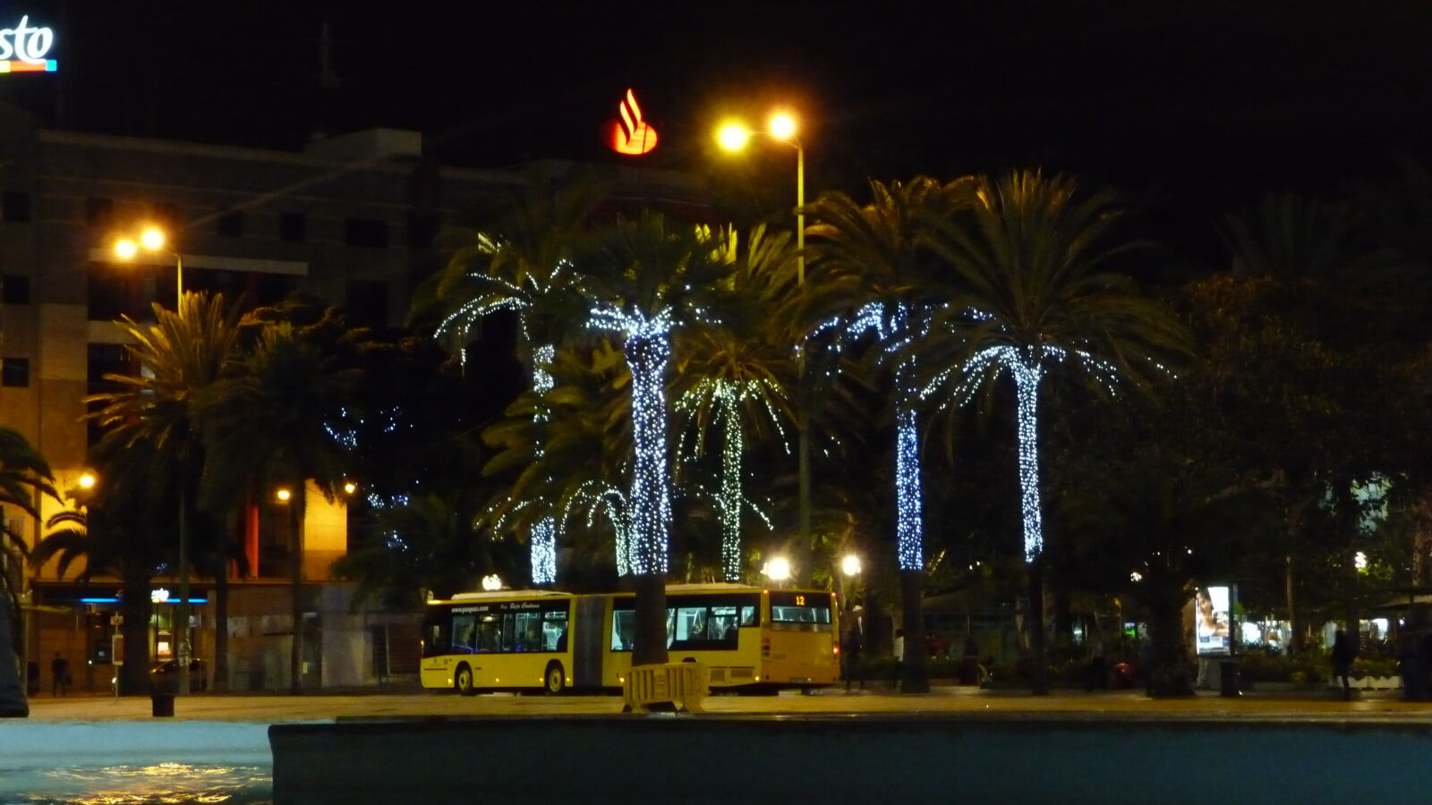 Weihnachtspalmen in Las Palmas / Gran Canaria.