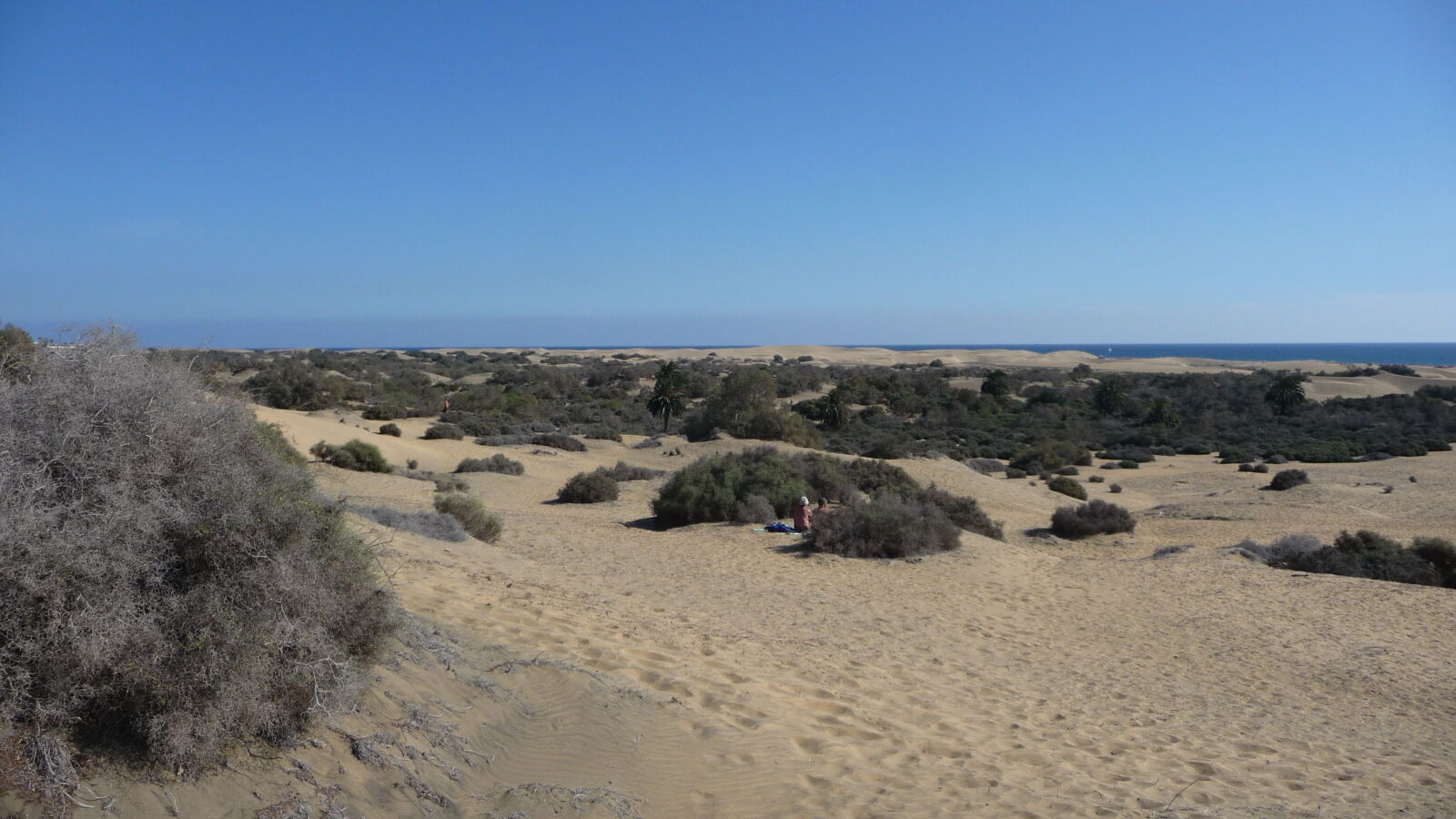 Dünenlandschaft.