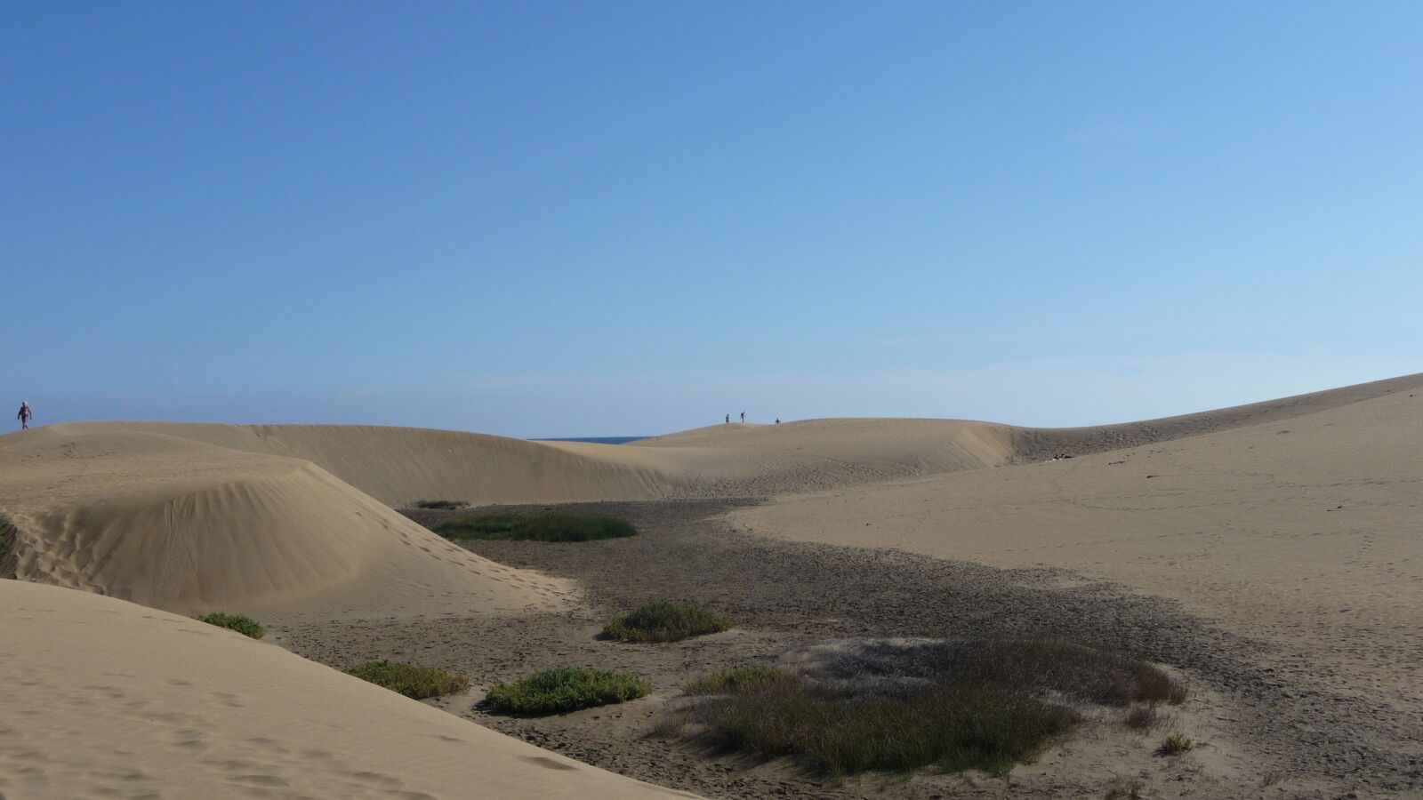 Dünenlandschaft.