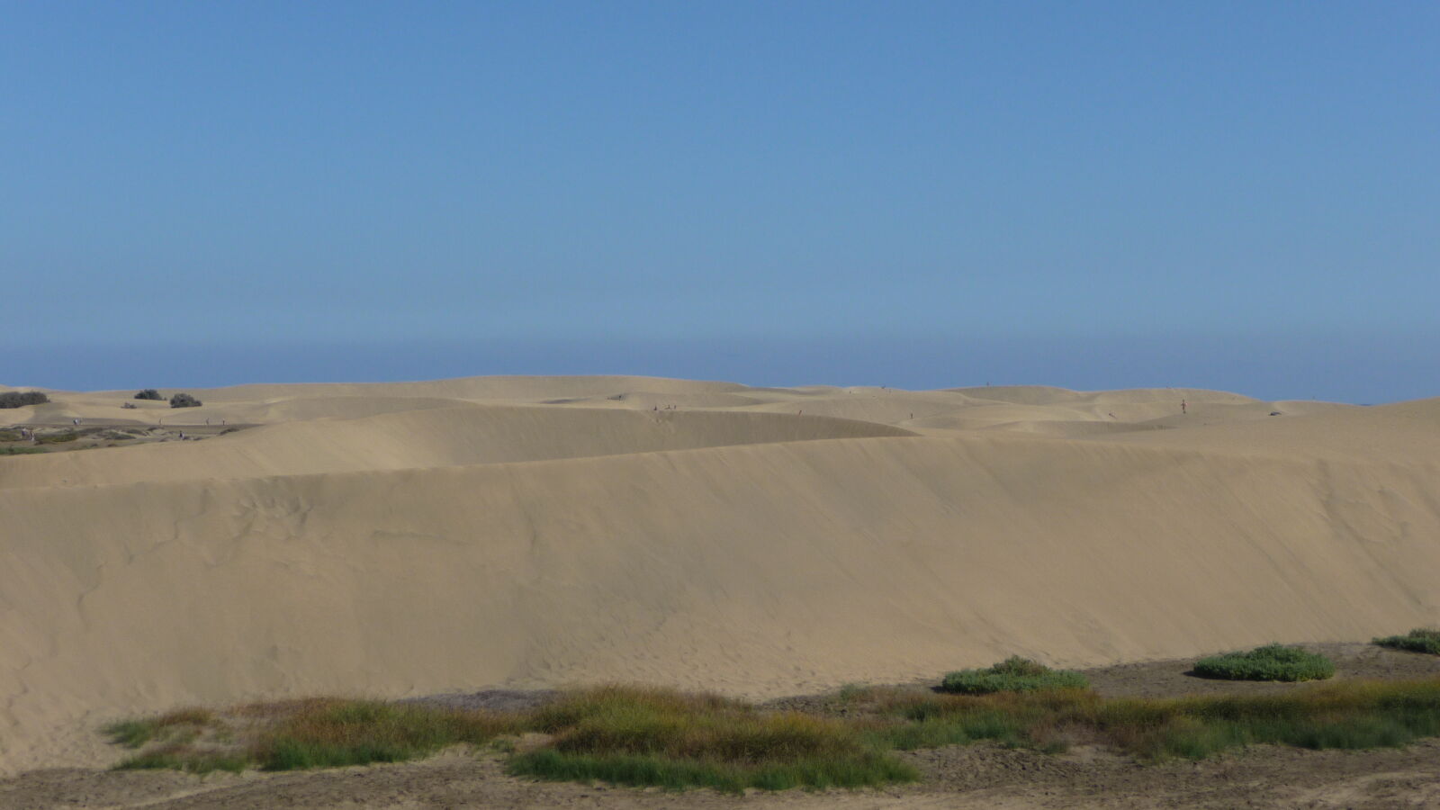 Dünenlandschaft.