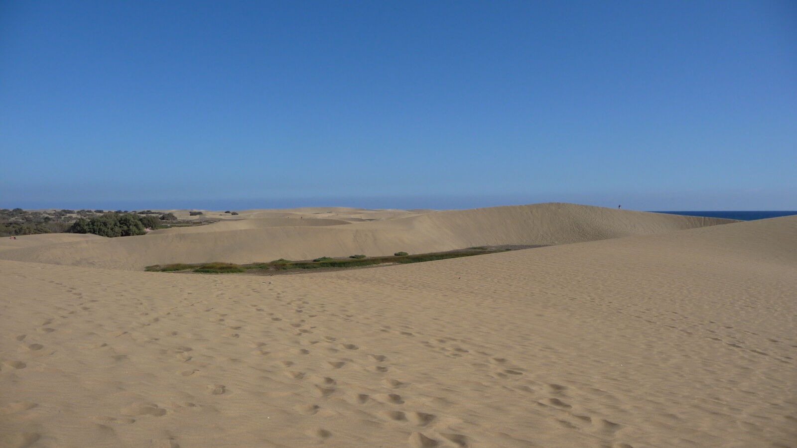 Dünenlandschaft.