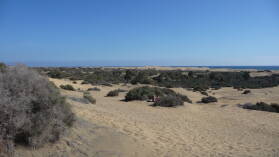Dünenlandschaft.