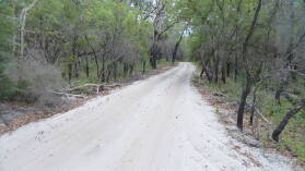 Wanderung auf Fraser Island von Kingfisher Bay zum Lake McKenzie.