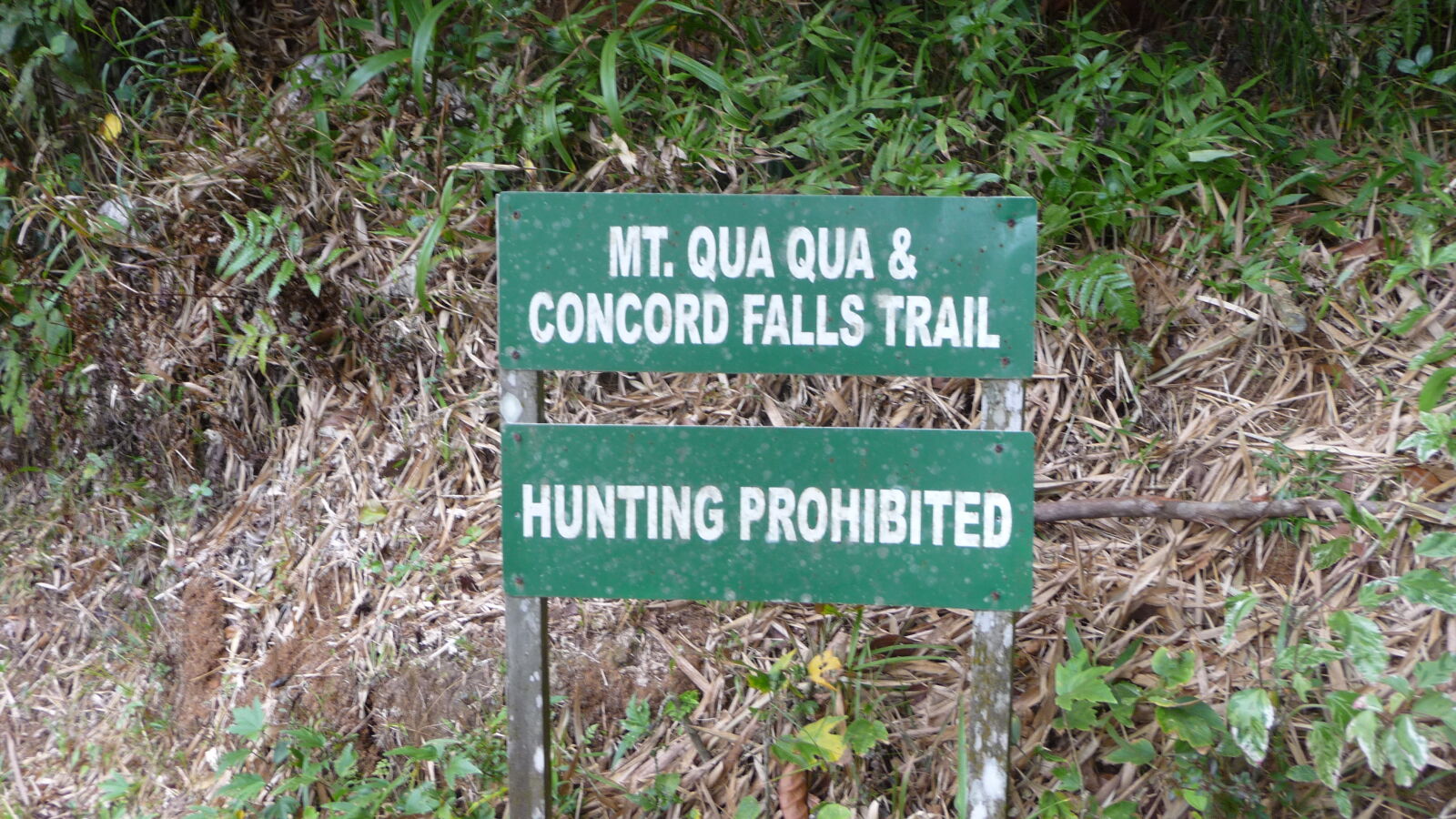 Mt. Qua Qua & Concord Falls Trail.