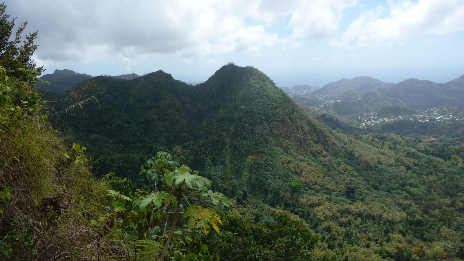 Mt. Qua Qua Trail.