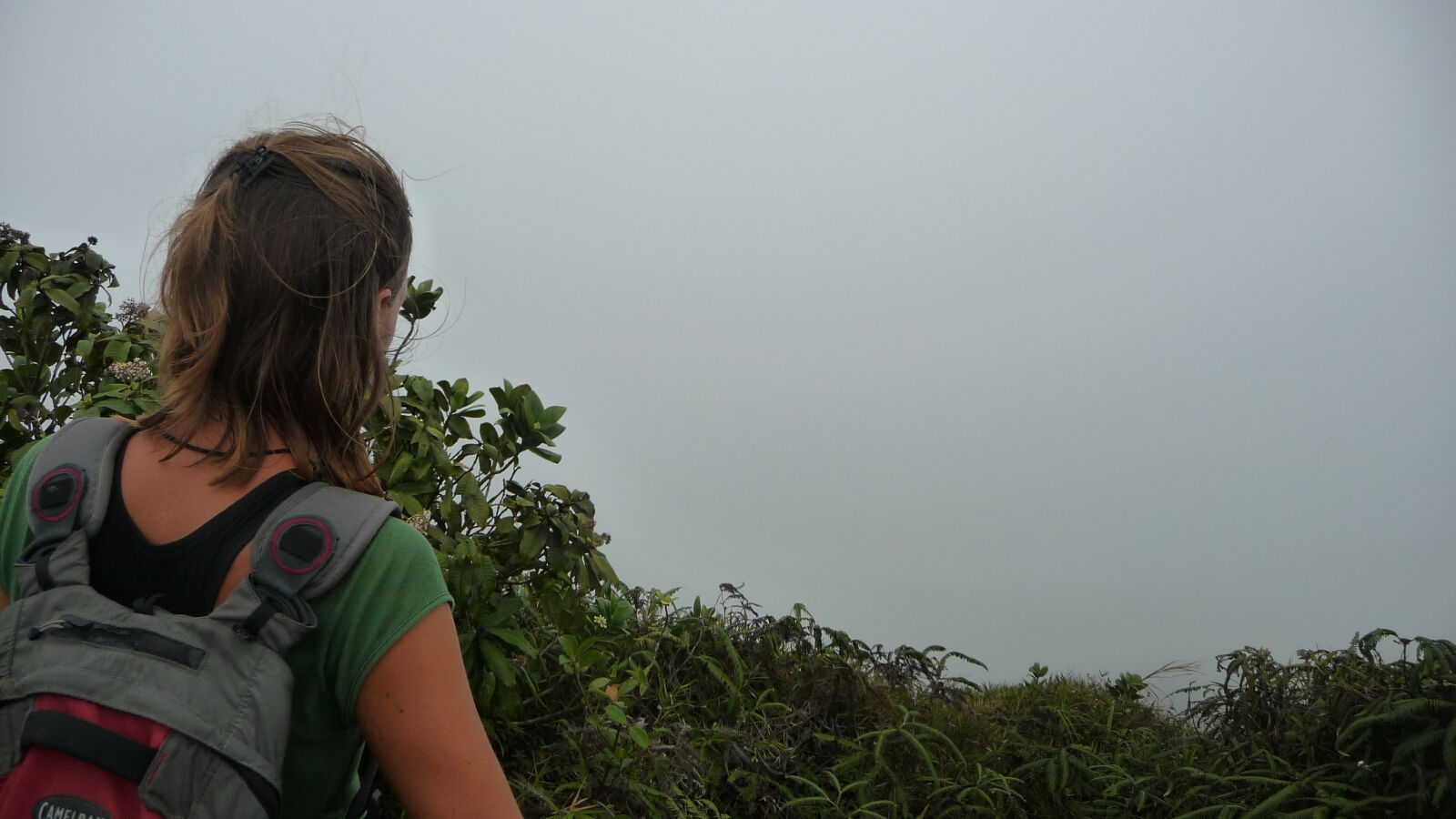 Mt. Qua Qua Trail.