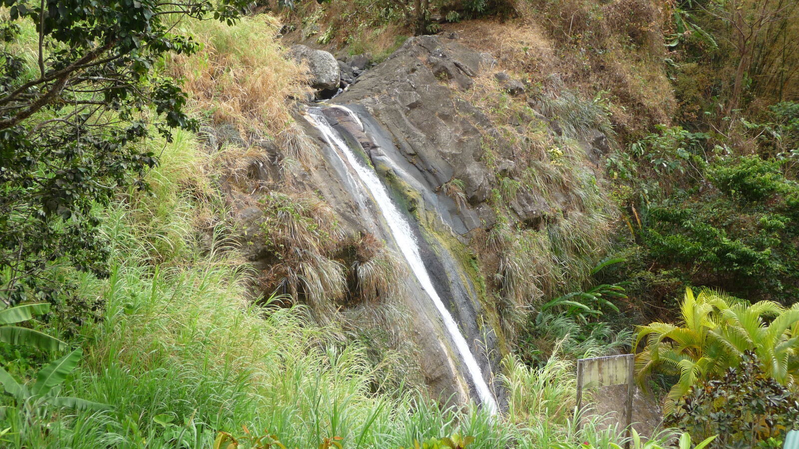Concord Falls.