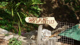 Belmont Estate, Grenada.