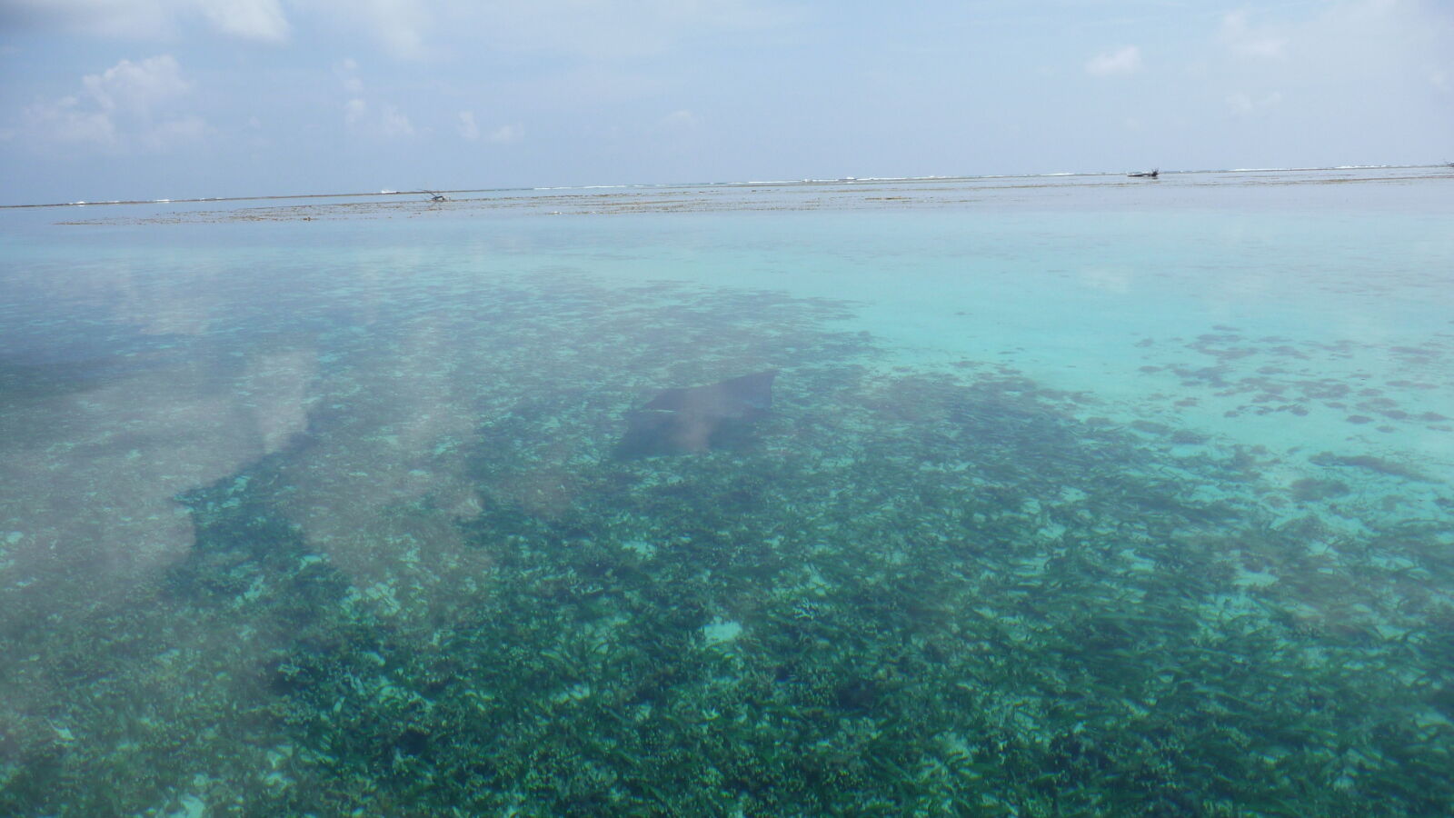Nördlich von Ukupsuit, Holandes Cays.