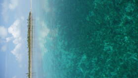 Ukupsuit, Holandes Cays.